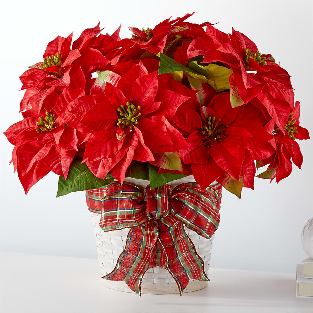 Happiest Holidays Poinsettia – Joy Flowers, Hicksville NY