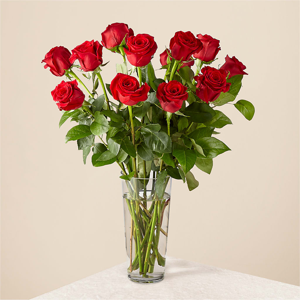 Long Stem Red Rose Bouquet – Joy Flowers, Hicksville NY