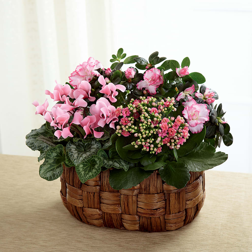 Pink Assortment – Joy Flowers, Hicksville NY