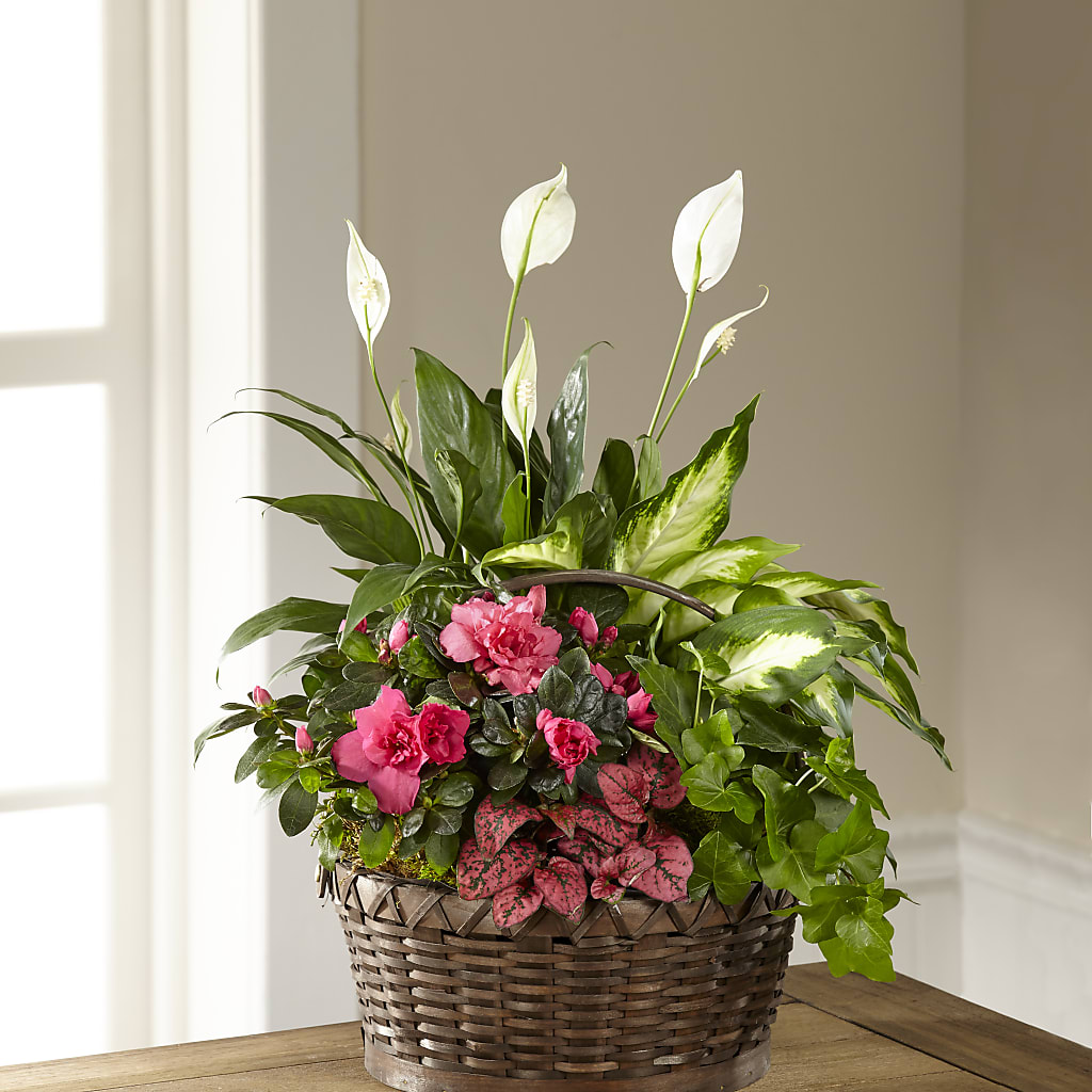 Dream in Pink Dishgarden – Joy Flowers, Hicksville NY