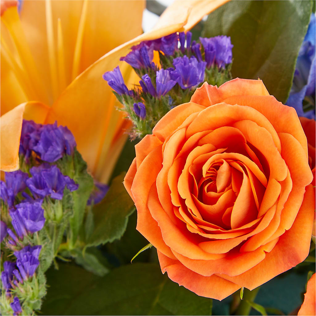 Radiant Citrus Box Bouquet – Joy Flowers, Hicksville NY