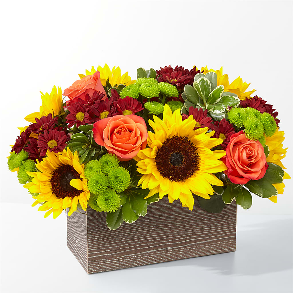Happy Harvest Garden – Joy Flowers, Hicksville NY
