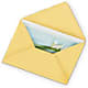 Greeting Card – Joy Flowers, Hicksville NY