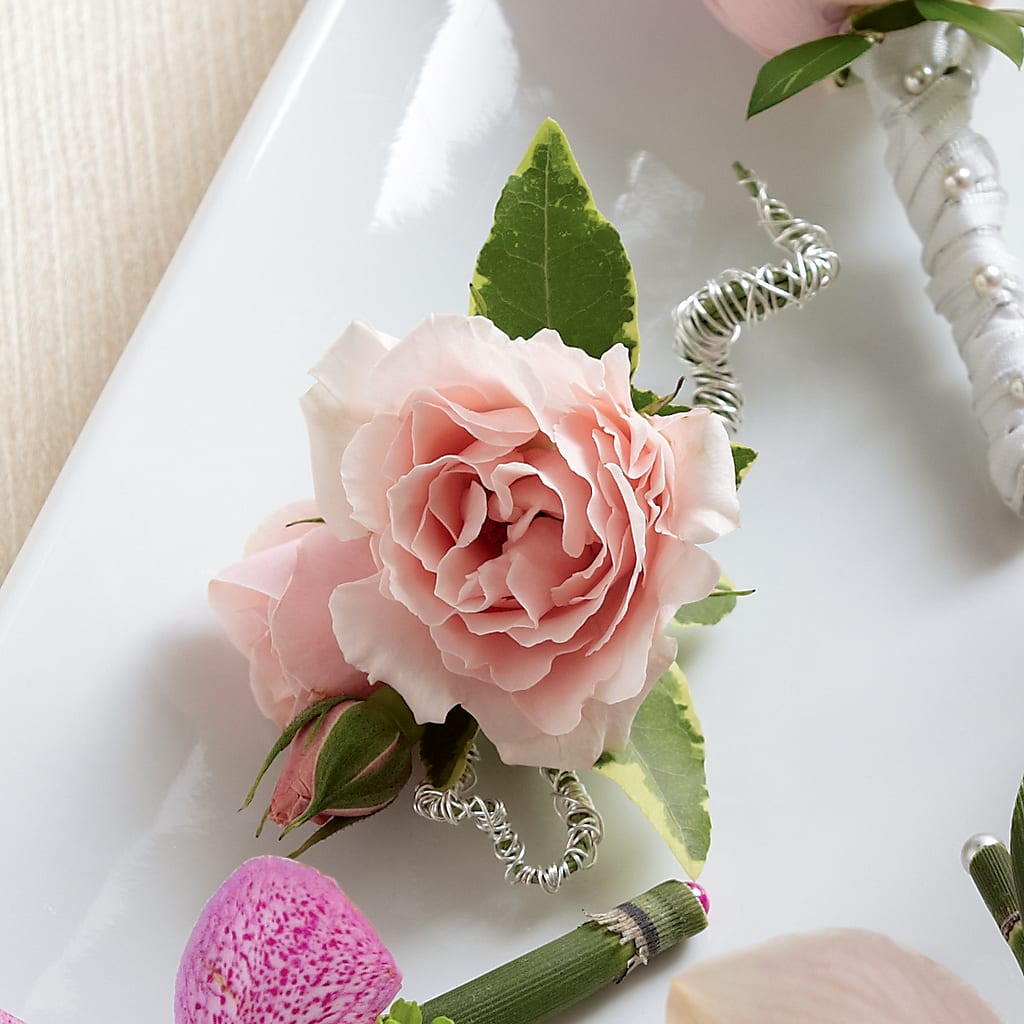 Pink Spray Rose Boutonniere – Joy Flowers, Hicksville NY