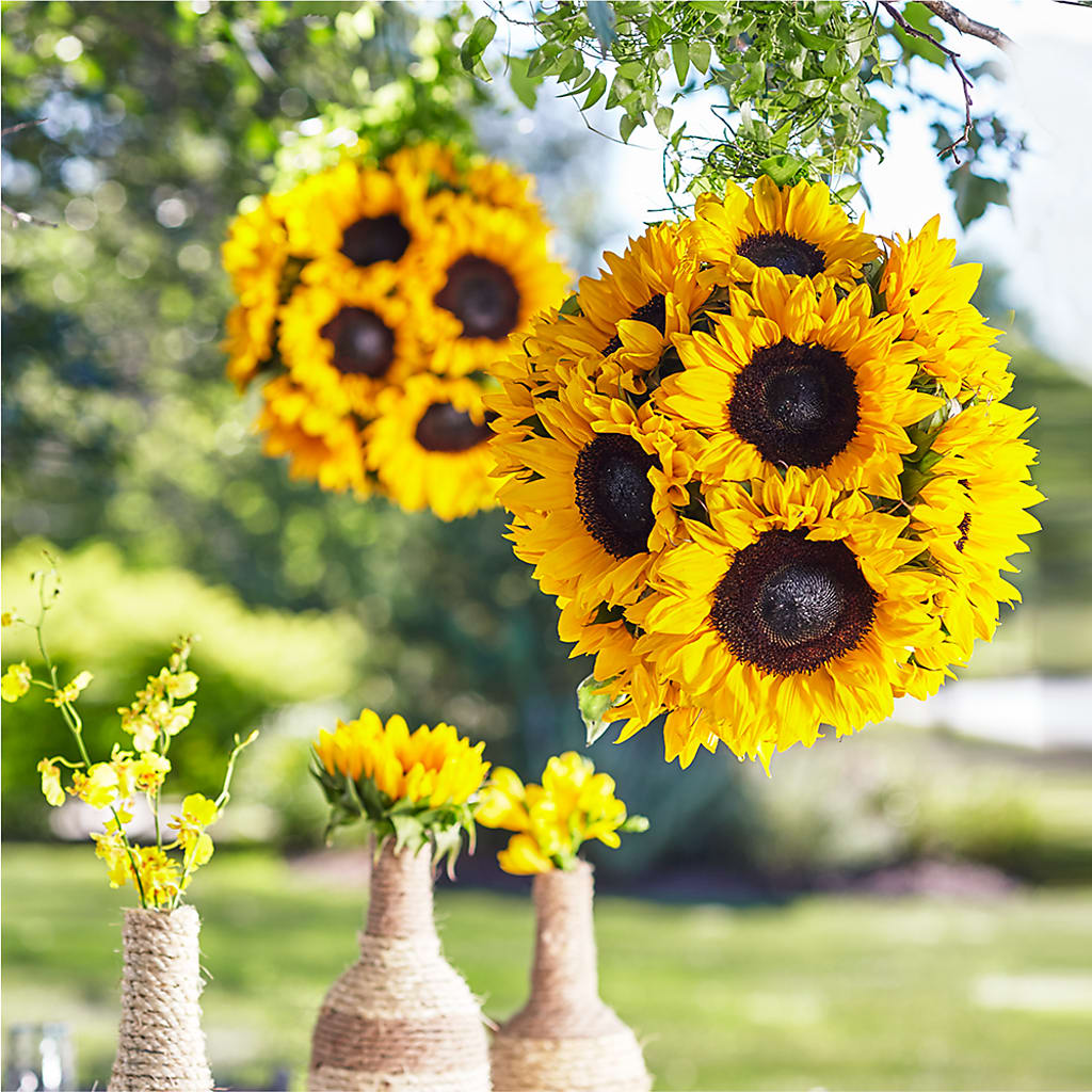 Sublime Garden Hanging Arrangement – Joy Flowers, Hicksville NY