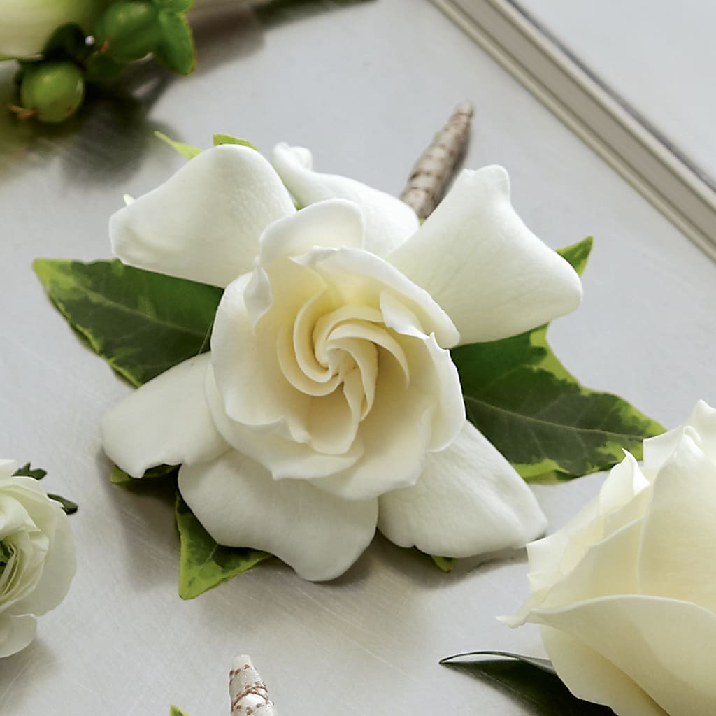 Gardenia Boutonniere – Joy Flowers, Hicksville NY