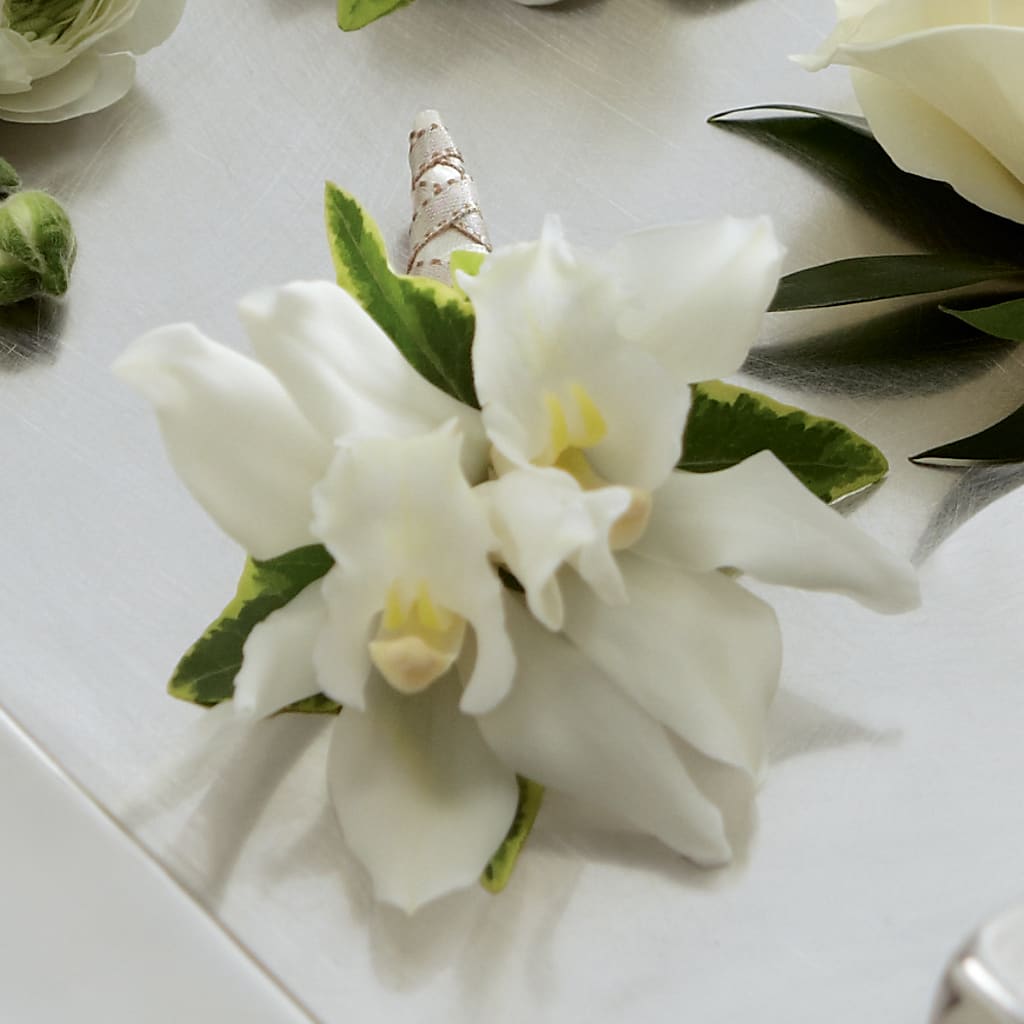 White Mini Cymbidium Boutonniere – Joy Flowers, Hicksville NY