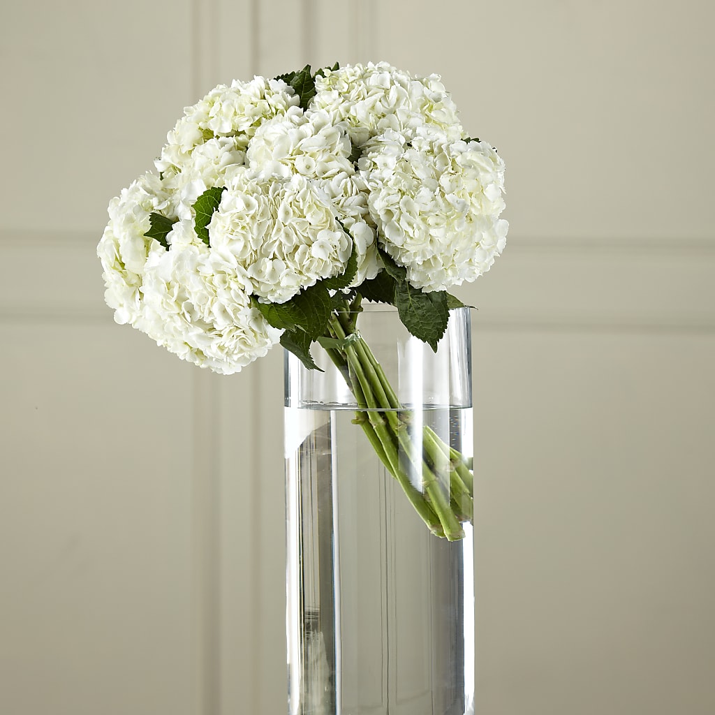 White Hydrangea Hand-Tied Bouquet – Joy Flowers, Hicksville NY
