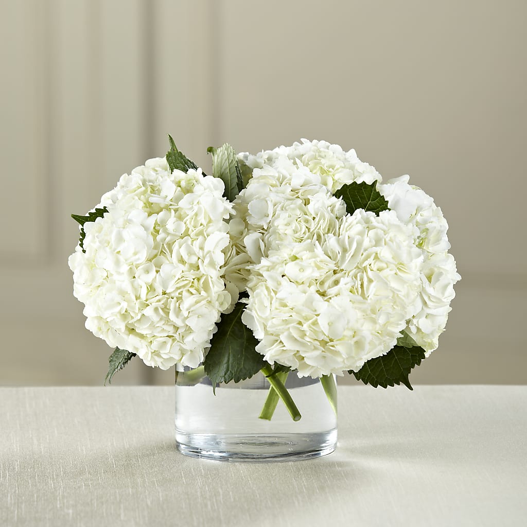 White Hydrangea Bouquet – Joy Flowers, Hicksville NY