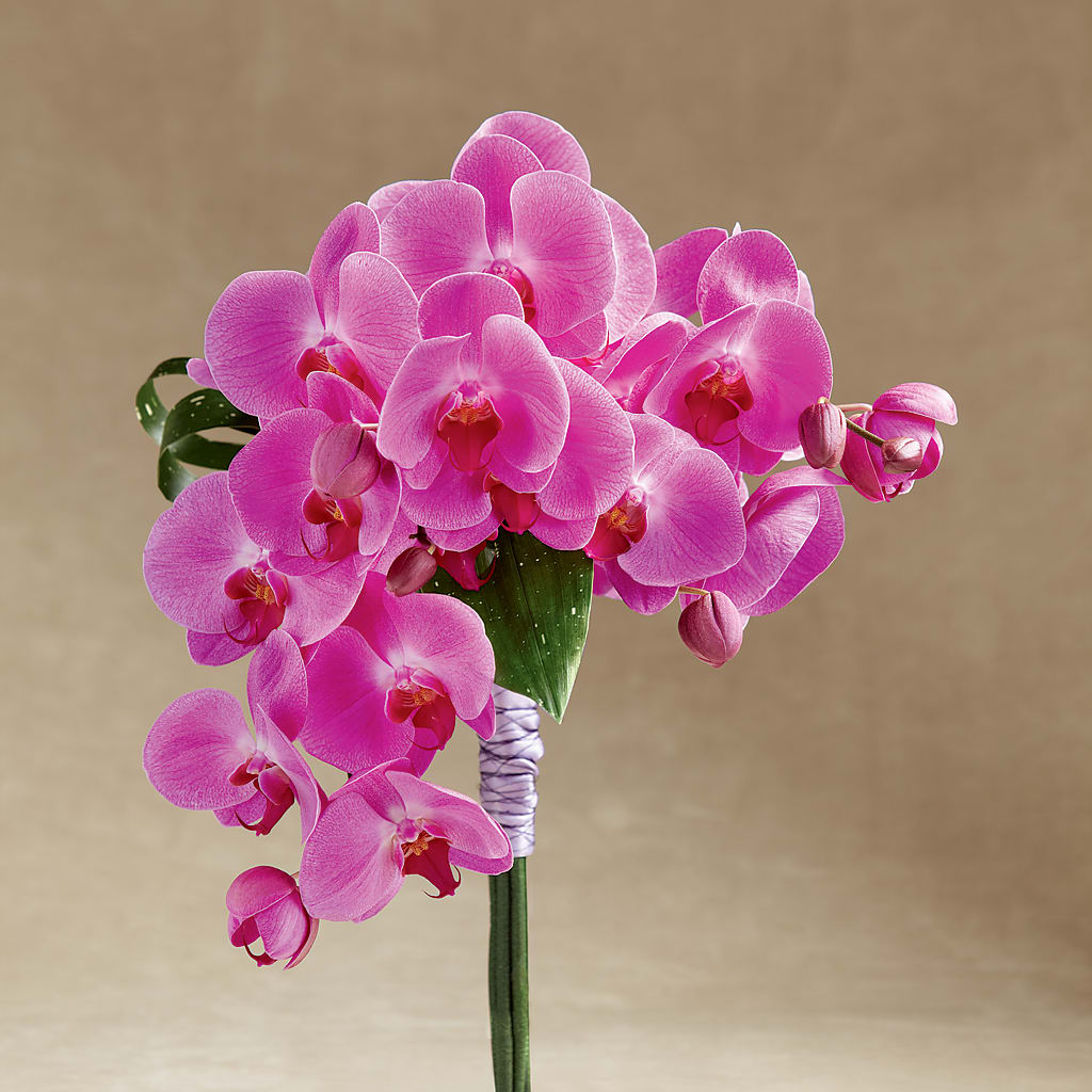 Glorious Bouquet – Joy Flowers, Hicksville NY