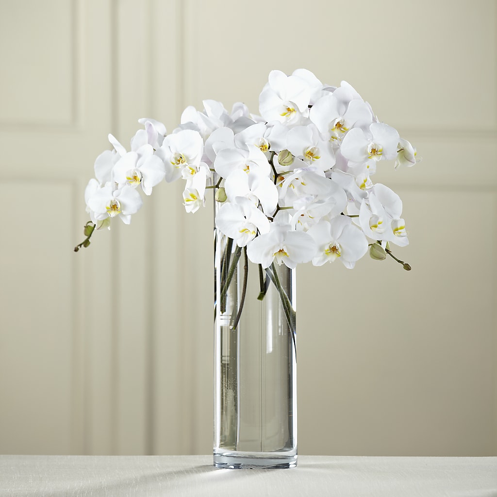White Phalaenopsis Bouquet – Joy Flowers, Hicksville NY
