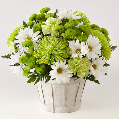 Lucky Charm Basket (Standard) –  Joy Flowers, Hicksville NY