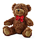 Adorable Plush Bear –  Joy Flowers, Hicksville NY
