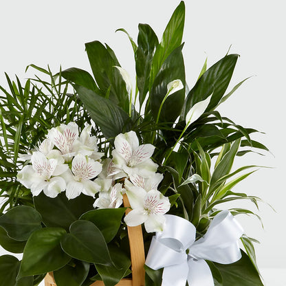 Peace & Serenity Dishgarden –  Joy Flowers, Hicksville NY