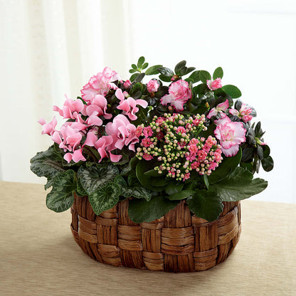 Pink Assortment –  Joy Flowers, Hicksville NY