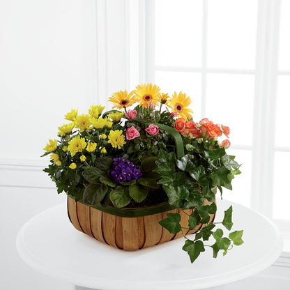 Gentle Blossoms Basket –  Joy Flowers, Hicksville NY