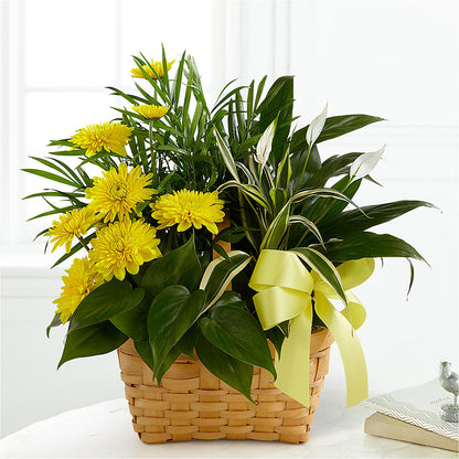 Loving Light Dishgarden –  Joy Flowers, Hicksville NY