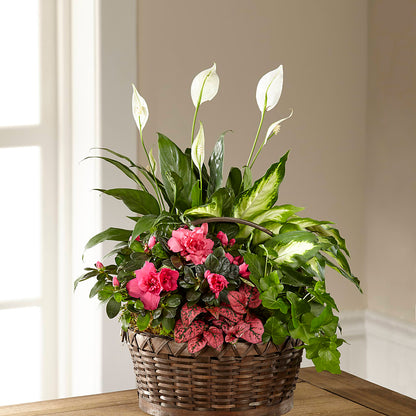 Dream in Pink Dishgarden –  Joy Flowers, Hicksville NY