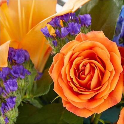 Radiant Citrus Box Bouquet –  Joy Flowers, Hicksville NY