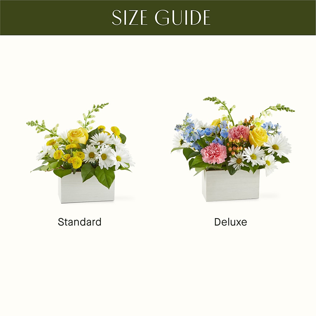 Sun Salutation Box Bouquet –  Joy Flowers, Hicksville NY