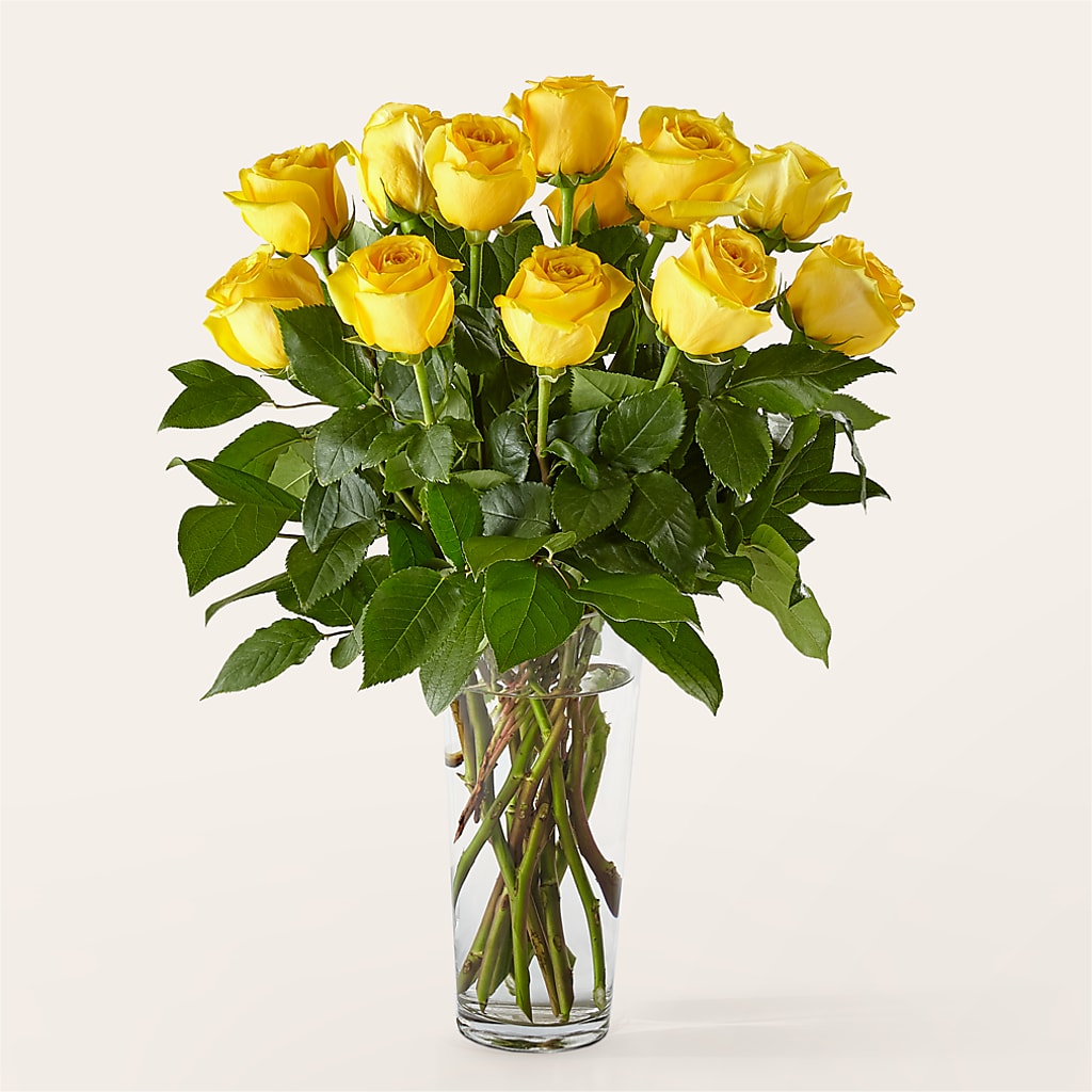 Long Stem Yellow Rose Bouquet –  Joy Flowers, Hicksville NY