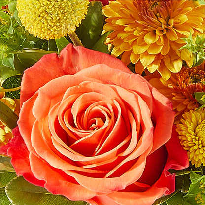 Gourdgeous Pumpkin –  Joy Flowers, Hicksville NY