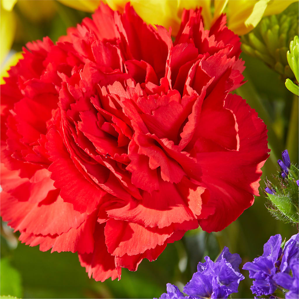 Brighter Days Bouquet –  Joy Flowers, Hicksville NY