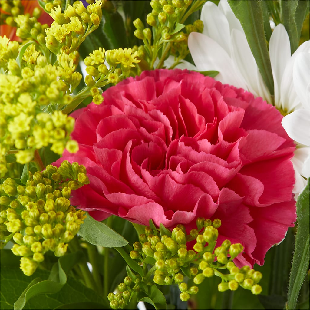 Oopsie Daisy Bouquet –  Joy Flowers, Hicksville NY