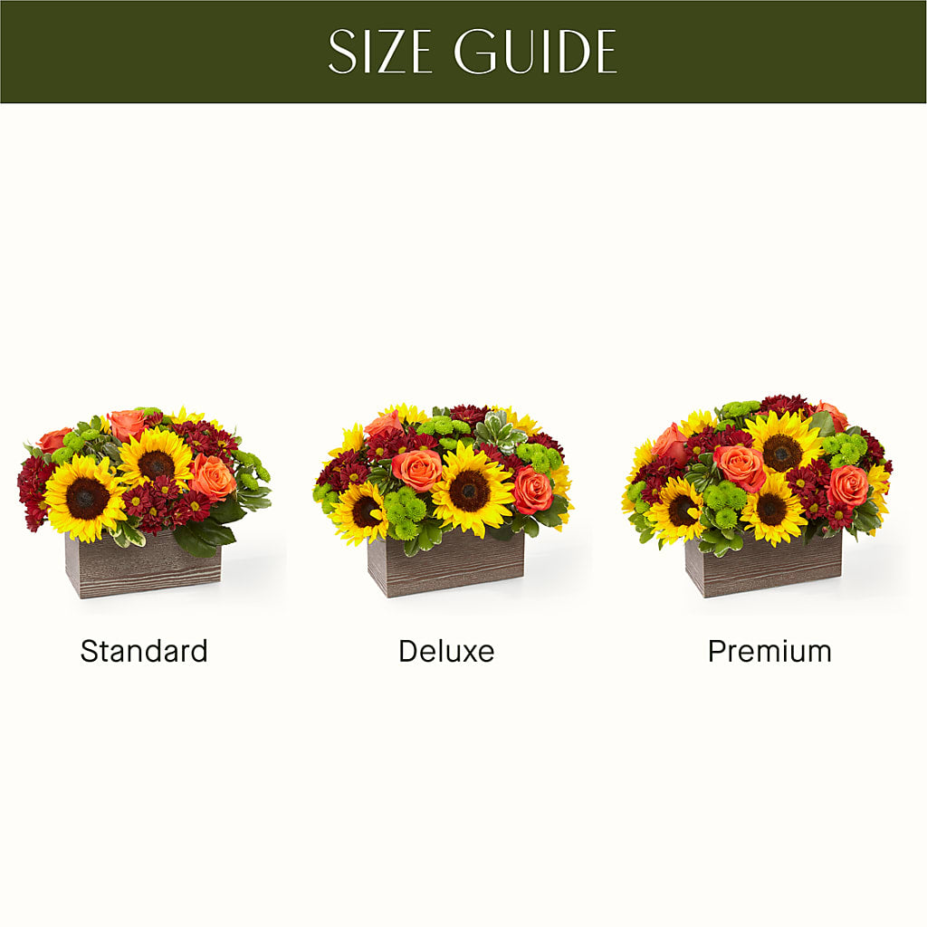 Happy Harvest Garden –  Joy Flowers, Hicksville NY