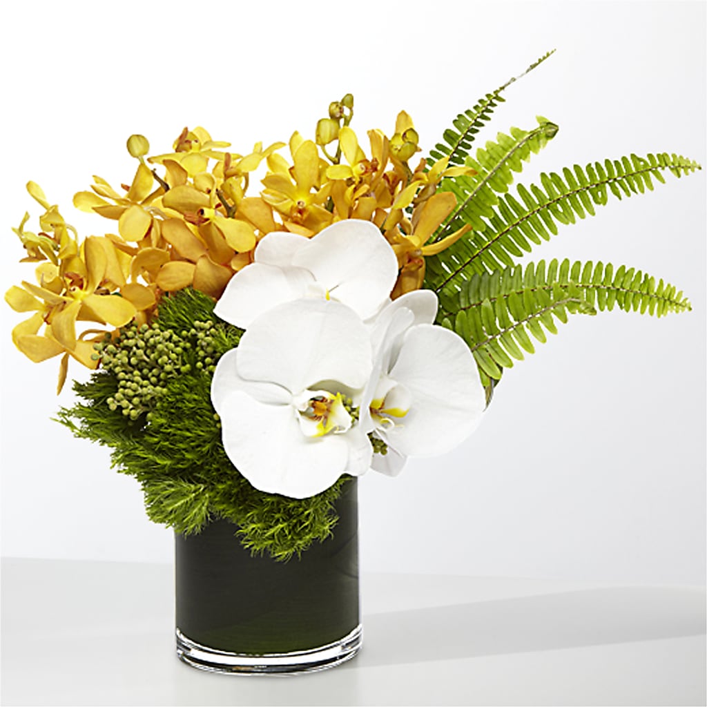 The Tropics –  Joy Flowers, Hicksville NY