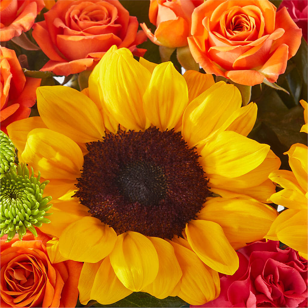 Sun-drenched Blooms Box Bouquet –  Joy Flowers, Hicksville NY