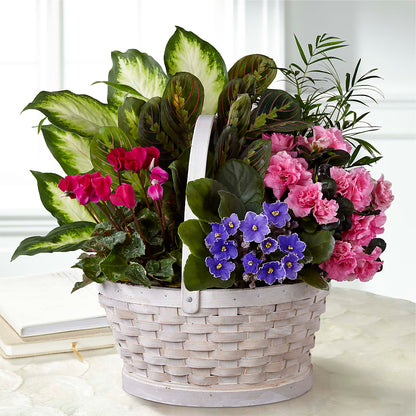 Peaceful Garden Planter –  Joy Flowers, Hicksville NY