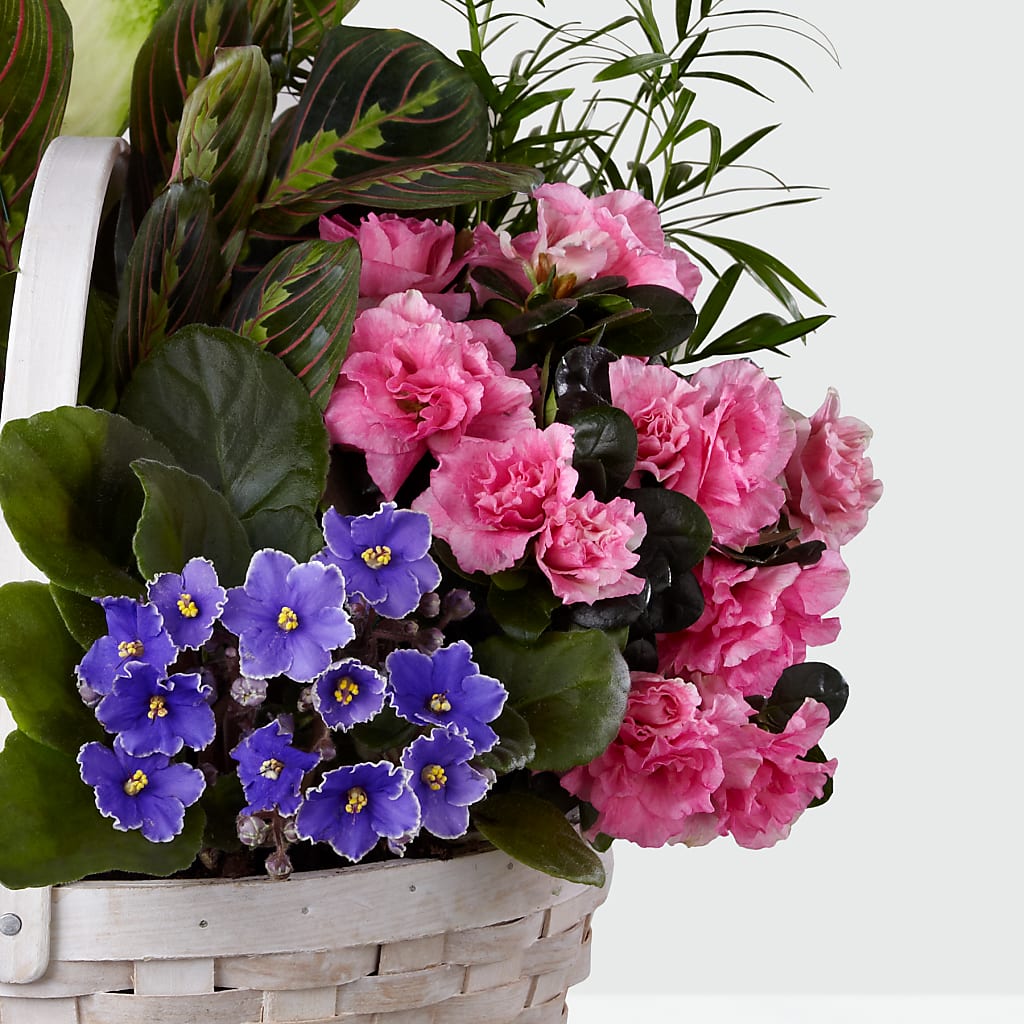 Peaceful Garden Planter –  Joy Flowers, Hicksville NY
