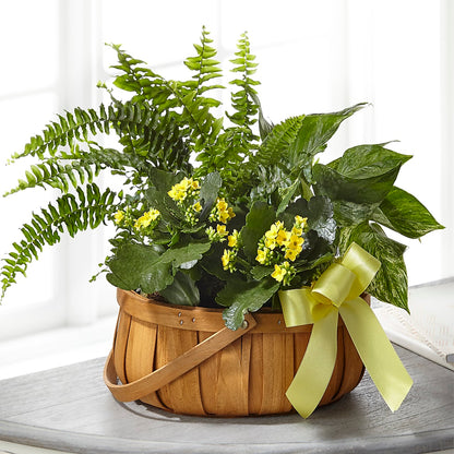 Always Dear Dishgarden –  Joy Flowers, Hicksville NY