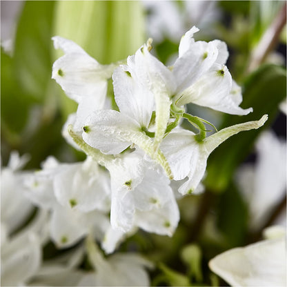 Classic Ivory – A Florist Original –  Joy Flowers, Hicksville NY