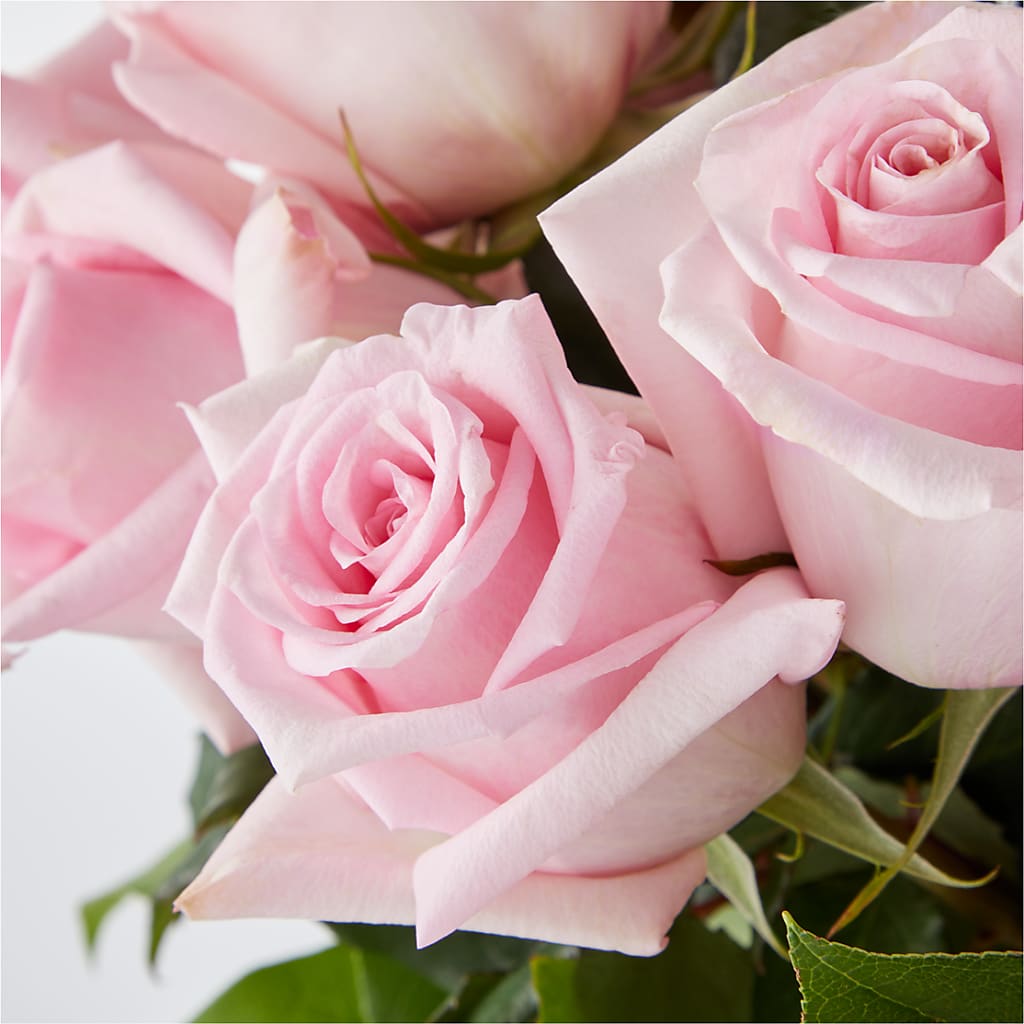 Picture Perfect Pink Rose Bouquet –  Joy Flowers, Hicksville NY