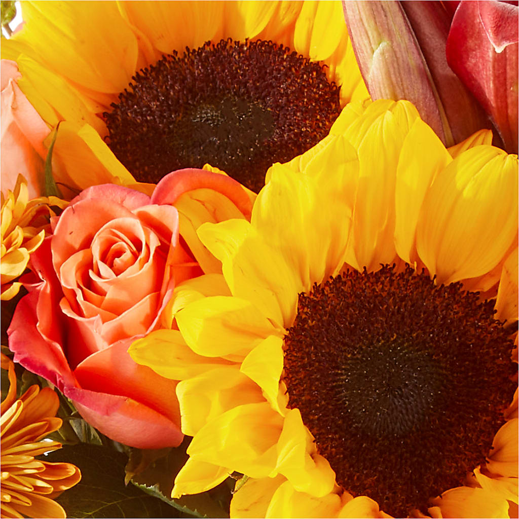 Acorn Lane Bouquet –  Joy Flowers, Hicksville NY