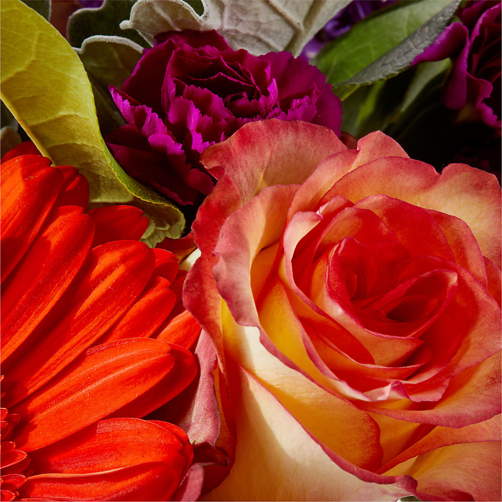 Sangria Bouquet –  Joy Flowers, Hicksville NY