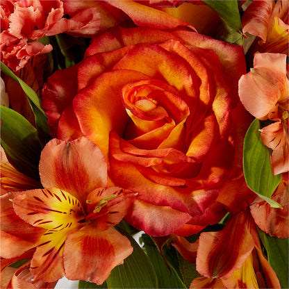 Apricot Glow Bouquet –  Joy Flowers, Hicksville NY