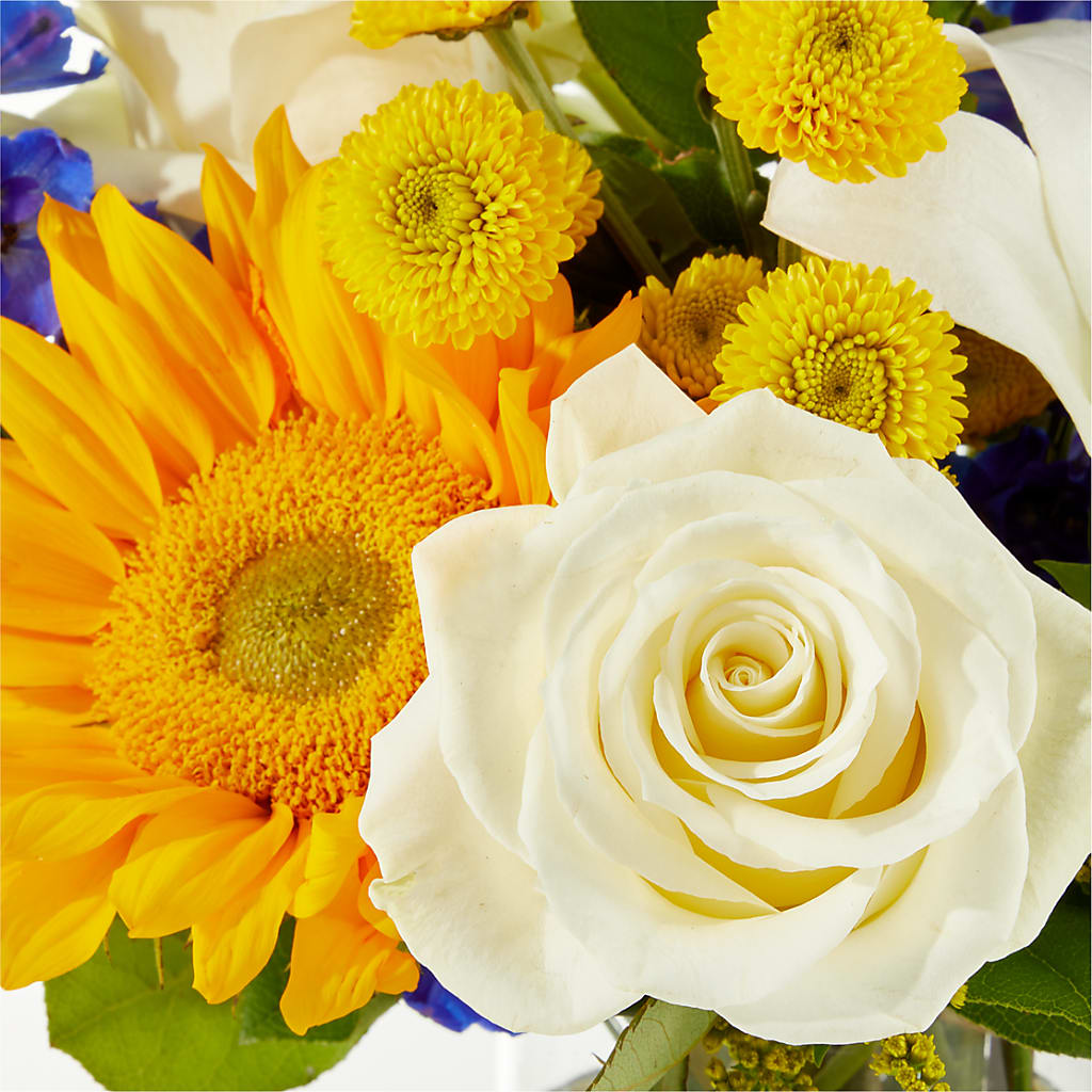 Stargazing Bouquet –  Joy Flowers, Hicksville NY