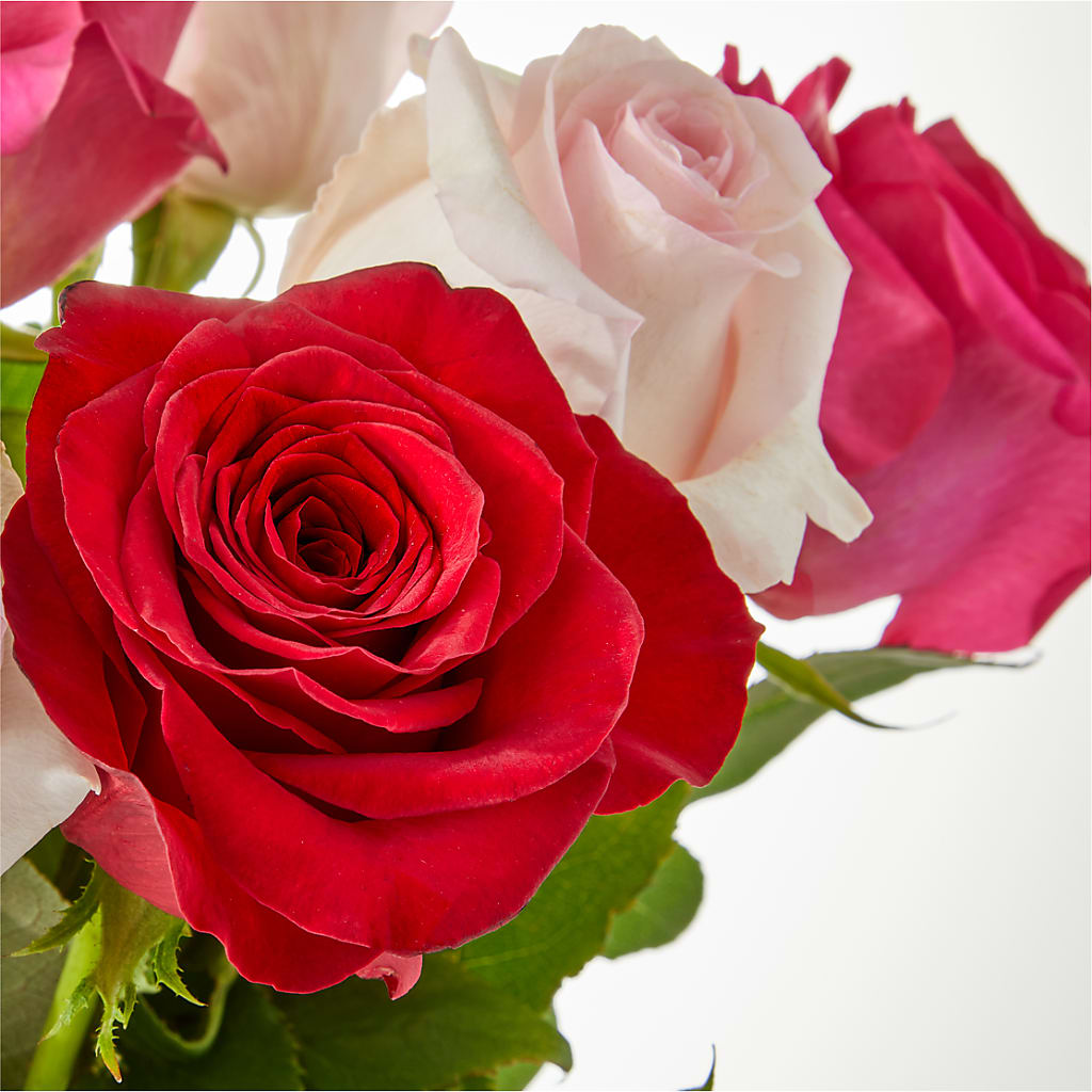 Charming Rose Bouquet –  Joy Flowers, Hicksville NY