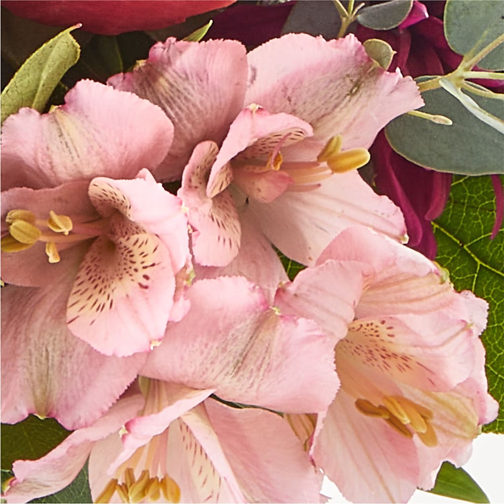 Berry Cobbler Bouquet –  Joy Flowers, Hicksville NY