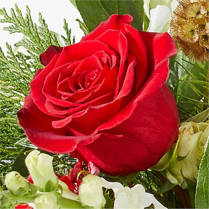 Deck the Halls Bouquet –  Joy Flowers, Hicksville NY