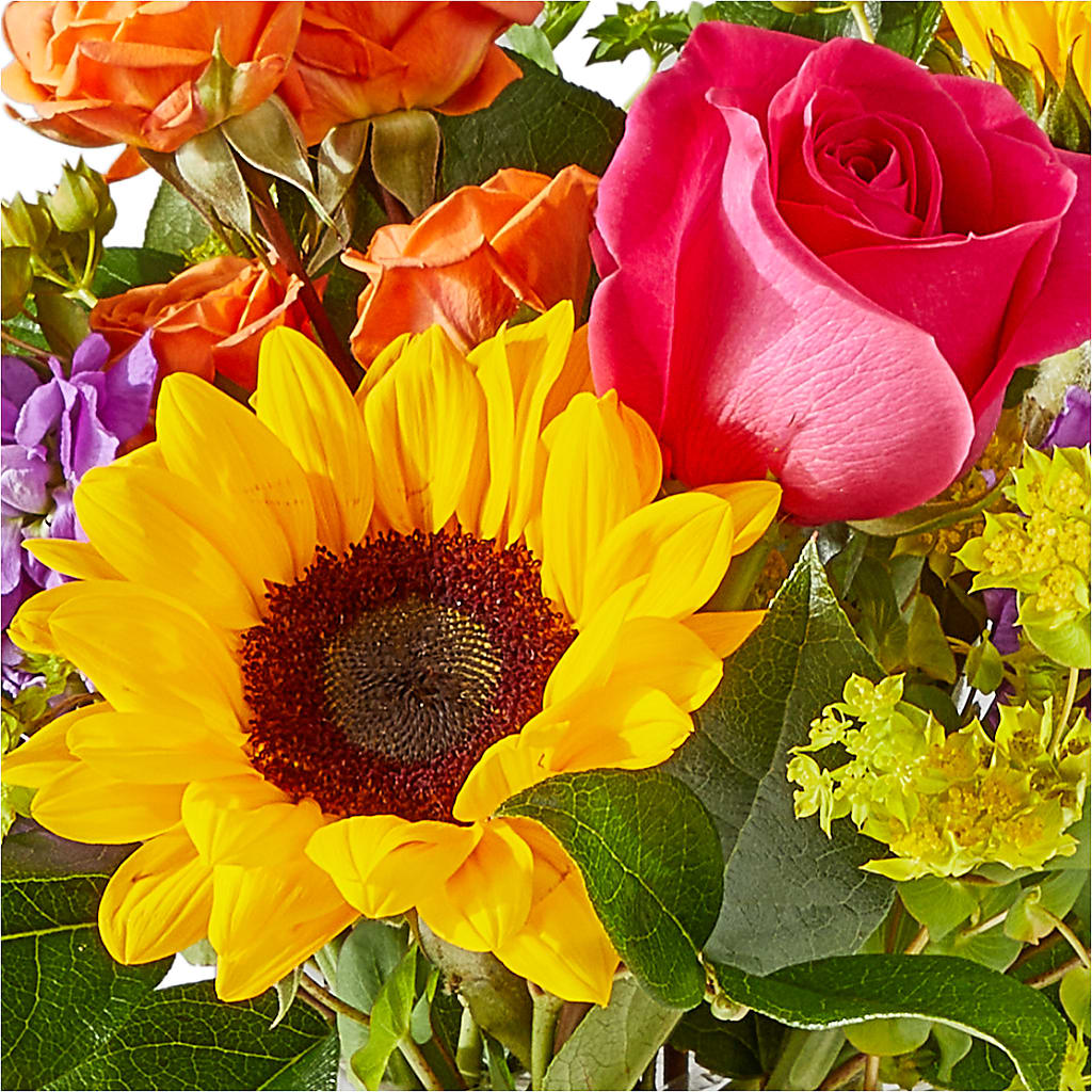 Vibrant Greetings Bouquet –  Joy Flowers, Hicksville NY