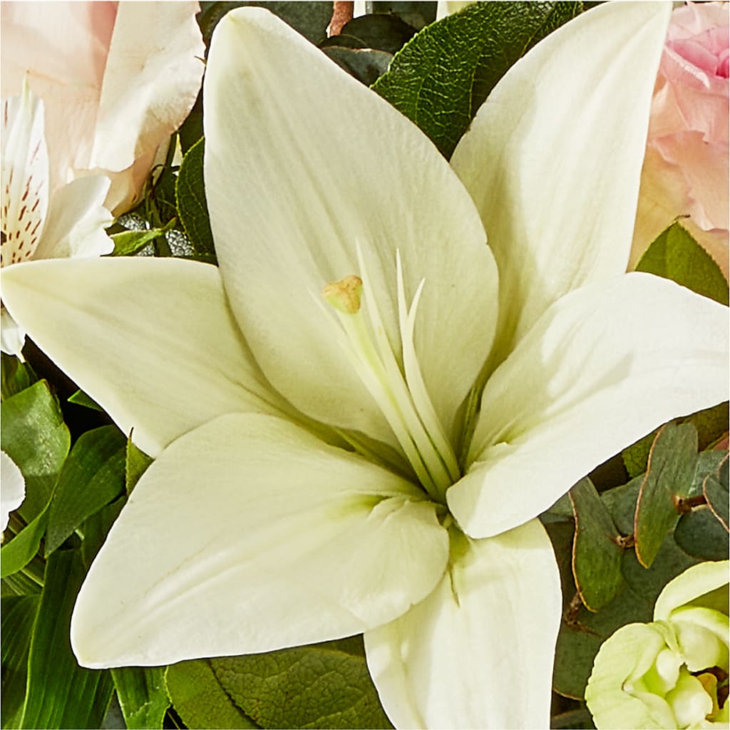 Ballet Slippers Bouquet –  Joy Flowers, Hicksville NY