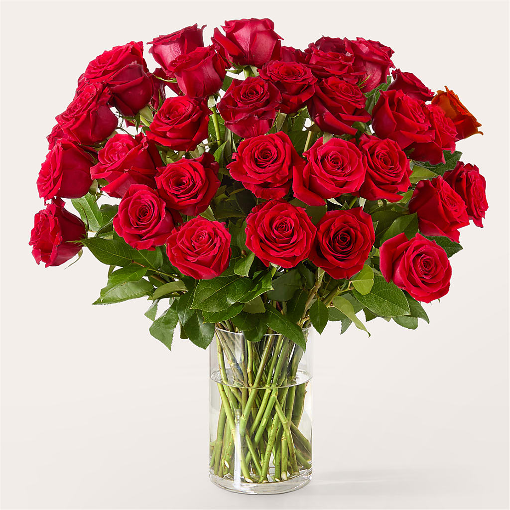 The One Red Rose Bouquet –  Joy Flowers, Hicksville NY