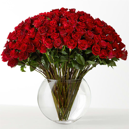 The Idealist –  Joy Flowers, Hicksville NY