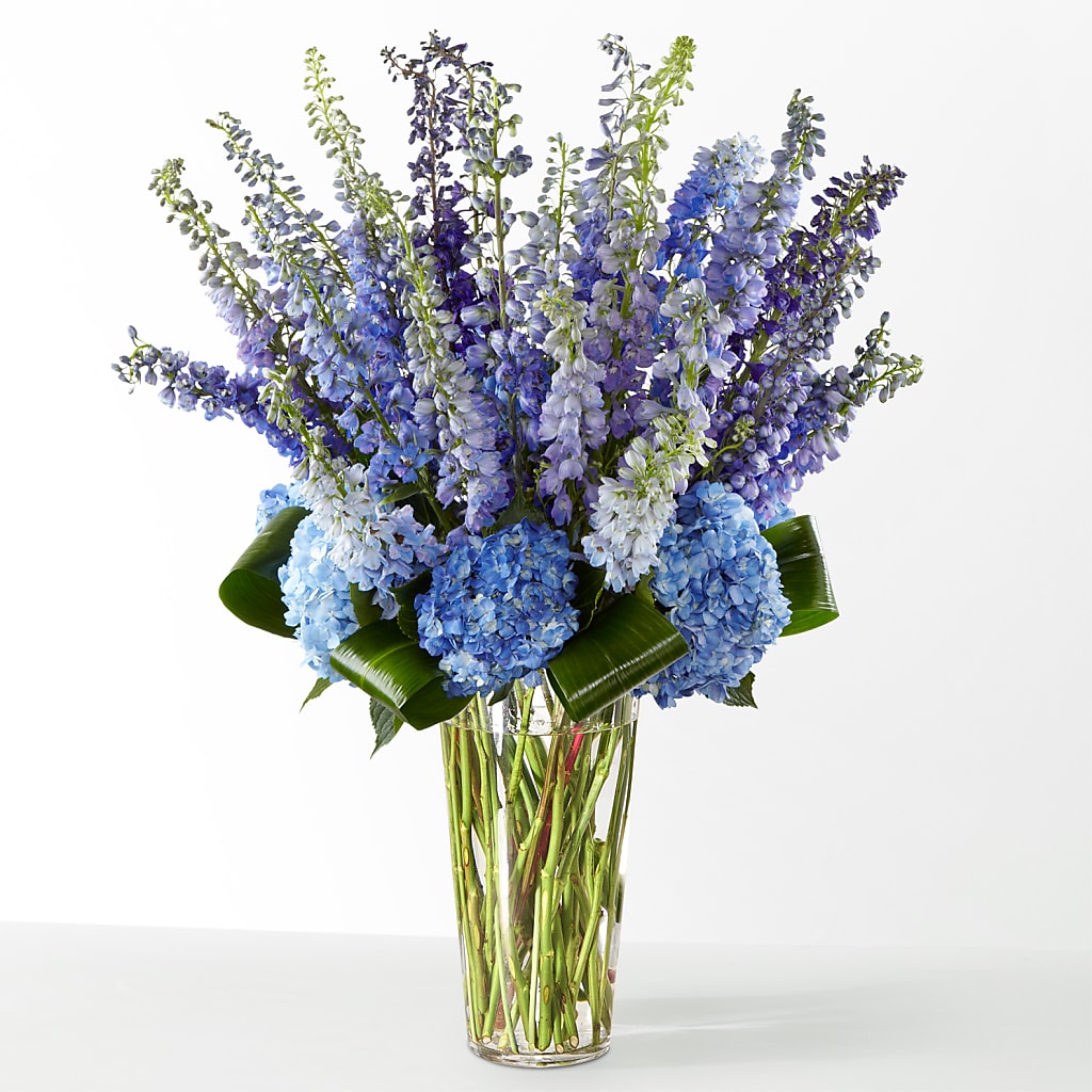 The Editorial –  Joy Flowers, Hicksville NY