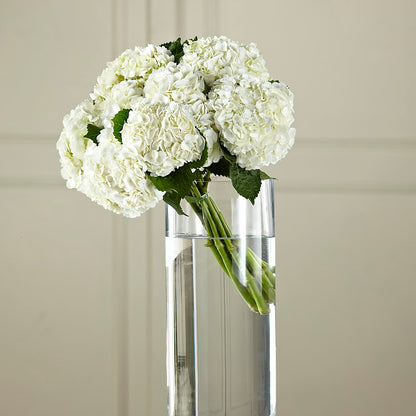 White Hydrangea Hand-Tied Bouquet –  Joy Flowers, Hicksville NY