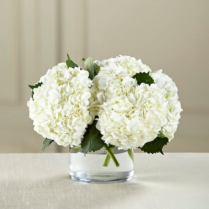 White Hydrangea Bouquet –  Joy Flowers, Hicksville NY